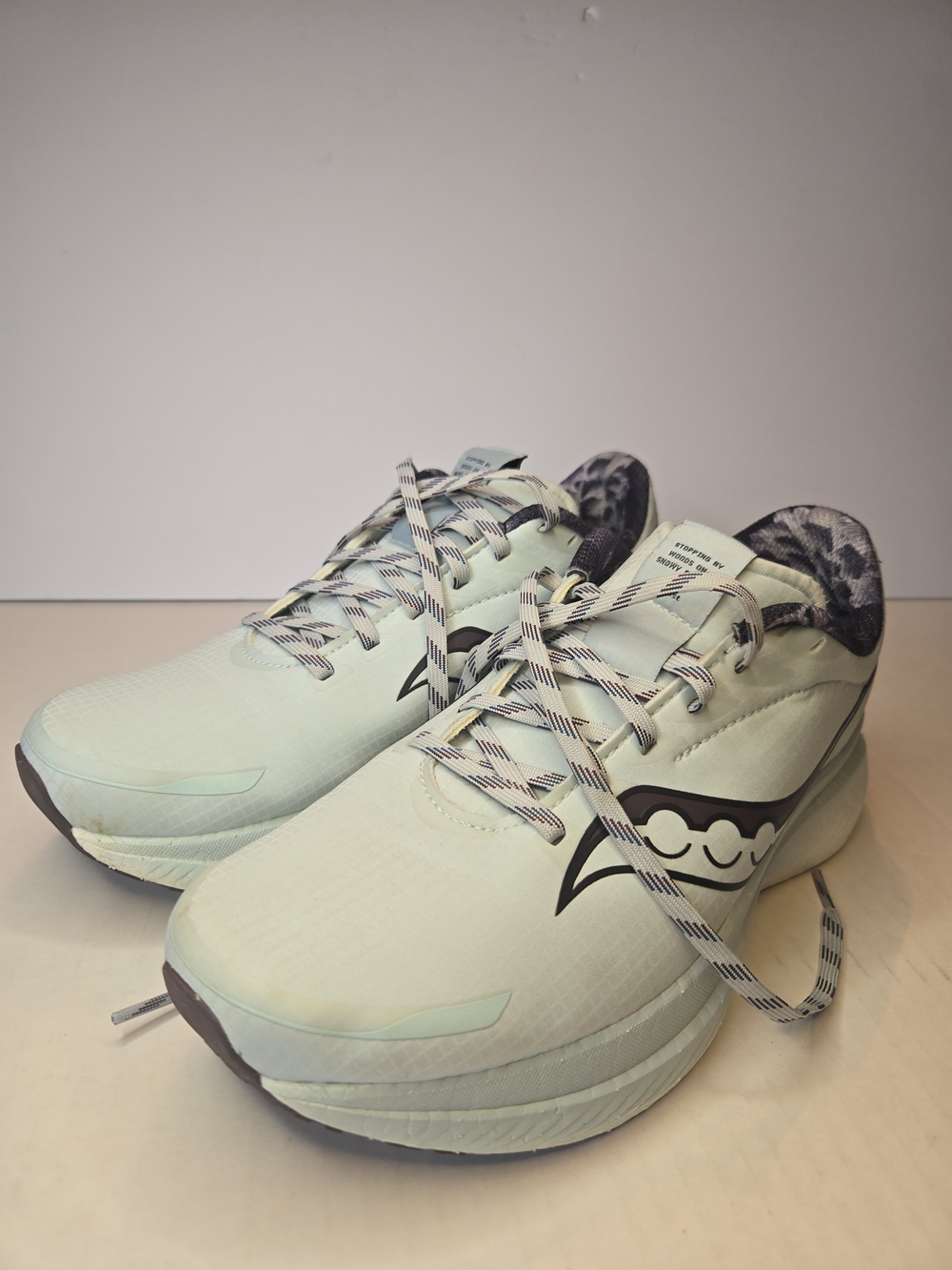 Saucony Endorphin SPEED3 Runshield Light Mint Running Shoes Robert Frost Promise